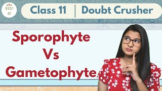 Sporophyte Vs Gametophyte  CLASS 11  Doubt Crusher [upl. by Yeclek]