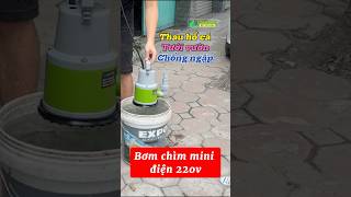 Máy bơm chìm mini điện 220V Shimano chuyên hút bể cá hồ cá tưới vườn chống ngập [upl. by Niwdog]