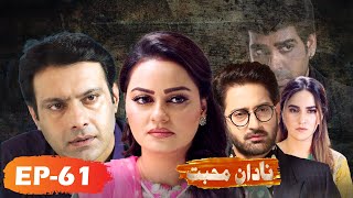 Nadaan Muhabbat  Episode 61  Play Entertainment Tv  Jawariya Abbasi Hannan Sameed [upl. by Byrom]