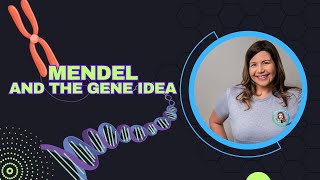 Mendel and the Gene Idea Bio Ch 14 [upl. by Lesli]