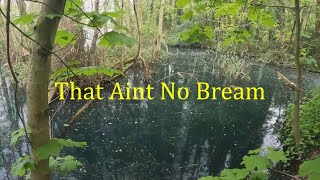 Stalking Shoulders  Yateley Copse Lake [upl. by Janicki177]