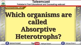 Absorptive Heterotrophs [upl. by Bhayani]