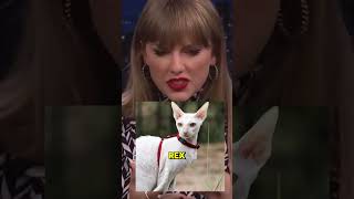 How Many Cats Does Taylor Swift Name Find Out 🐾💫cat [upl. by Oak]