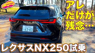 レクサス 新型NX250 試乗！ 買い得モデルだが、 唯一アレだけが気になる…ソレ以外はバランスの良い仕上がりだけに… [upl. by Nosrej]