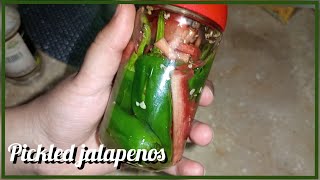 Streetfood special  chilli in vinegar pickled jalapenos recipe at home  Entertainer amp Earnest [upl. by Hsemar157]