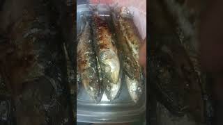 Grilled Sardines sardine sardines sardinesrecipe grilledsardines [upl. by Anuahs384]