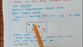 Streptococcal pharyngitis Microbiology  Bacterial pharyngitis   Symptoms Lab diagnosisTreatment [upl. by Eecyaj301]