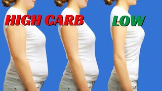 How Many CARBS Per Day To Lose Weight [upl. by Eive]