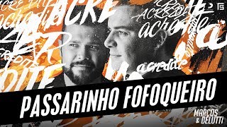 Marcos e Belutti  Passarinho Fofoqueiro  Acredite [upl. by Naara]