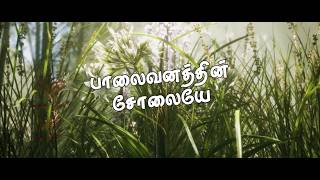 Paalaivanthin Solayae  Tamil Christian Song  Stephen Rajkumar  Stanley  பாலைவனத்தின் சோலையே [upl. by Babette]