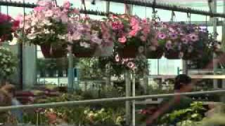 Centre De Jardin Brossard Inc  Brossard [upl. by Airamana]