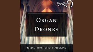 Organ Drone ABb [upl. by Yatnuhs506]