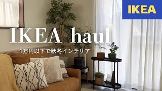 IKEA購入品｜秋冬インテリア｜プチプラアイテム｜植物のある暮らし [upl. by Pepin]