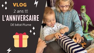 VLOG LANNIVERSAIRE DES 2 ANS DE BÉBÉ PLUME PRÉPARATIFS CADEAUX [upl. by Keenan586]