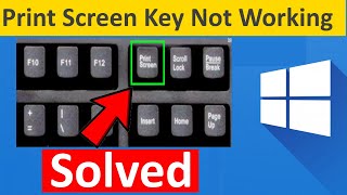 How to solve Print Screen Not Working in Windows 1011 [upl. by Acissehc]