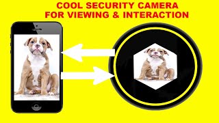 Pet Security CameraBest Pet Camera For Dogs [upl. by Yliak691]