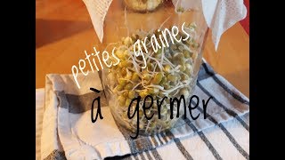 FAIRE GERMER SES GRAINES AVEC UN GERMOIR FAIT MAISON [upl. by Irrac]