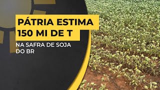 Pátria reduz para 150MI estimativa para safra de soja do BR [upl. by Rogozen324]