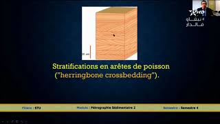 Pétrographie sédimentaire  Sciences de la terre et de l’univers  S4  Enseignement supérieur [upl. by Emmett556]