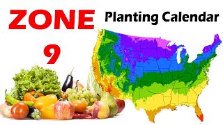 Zone 9 Planting Calendar  Guide to Successful Gardening in Zone 9 [upl. by Spratt258]