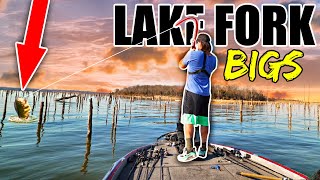 BIG BASS in the THICKEST COVER Lake Fork Spring Fishing [upl. by Hildagard508]