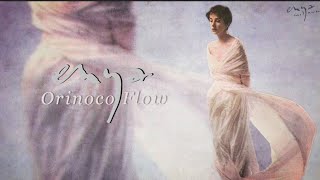 Enya  Orinoco Flow Lyric Video [upl. by Bethesde434]