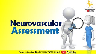 Neurovascular Assessment  The 6 Ps of neurovascular assessment [upl. by Keily]