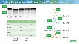 Purification of DNA Oligonucleotides using Anion Exchange Chromatography [upl. by Intirb716]