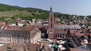 Die Stiftskirche in Neustadt – Himmel auf Erden  SWR Fernsehen [upl. by Emmalee870]