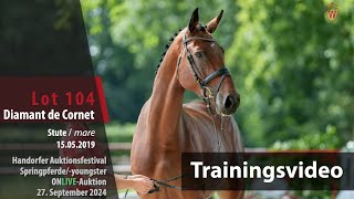 Auktionsfestival Training Lot 104 Diamant de Cornet Stute v Diamant De Semilly  Cornet Obolensky [upl. by Kamila]