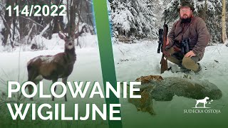 SUDECKA OSTOJA 1142022 Polowanie wigilijne na jelenie deer hunting chasse au cerf Wild jagen [upl. by Adila]