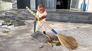 Monkey Kobi diligently cleans up trash after strong wind [upl. by Irvine95]