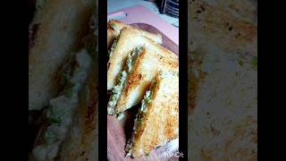 Easy amp healthy tiffin recipe for kidssandwich [upl. by Vorster]