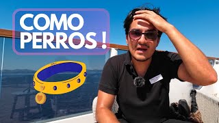 ¿Qué es el Name Tag y para qué sirve en los cruceros [upl. by Kenyon247]