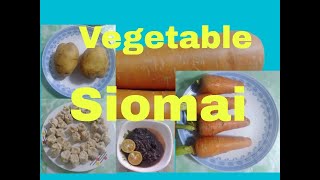 Homemade Vegetable Siomai Recipe [upl. by Akeber]