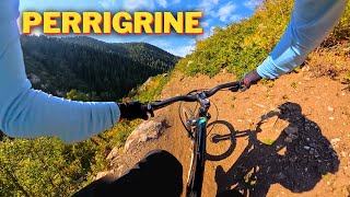 Perrigrine MTB trail  Flowy and techy but you have to earn it [upl. by Meris]