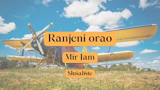 20 Ranjeni orao  Sestrin plan audio knjiga [upl. by Yrogiarc80]