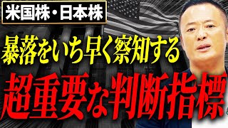 【知らないともったいない】米国株の高値と底値を判断するための指標について徹底解説【VIX指数】 [upl. by Gnaig]