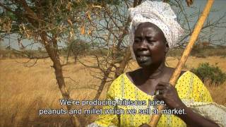 Turning the tide on desertification in Africa 7min43sec version [upl. by Ahsitil]