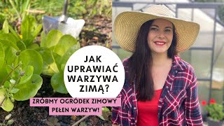 Jak uprawiać warzywa zimą Uprawa warzyw przez cały rok Jak zrobić zimowy ogród pełen warzyw [upl. by Parthen]