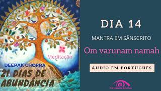 Dia 14  21 DIAS DE ABUNDÂNCIA DEEPAK CHOPRA EM PORTUGUÊS [upl. by Rabaj]