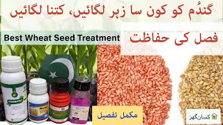 Best seed treatment for wheat seed before sowing  Mansui argyl super manyu or Combipri benefits [upl. by Ettelrahc]