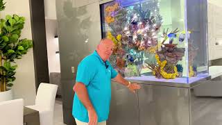 400 Gallon Artificial Reef Peninsula Aquarium  Luxury Private Residence Florida [upl. by Ecyor]