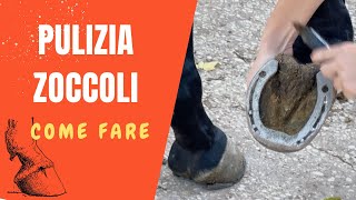 🐴 COME PULIRE GLI ZOCCOLI DI UN CAVALLO  SEGRETI DELLEQUITAZIONE [upl. by Ailahk561]