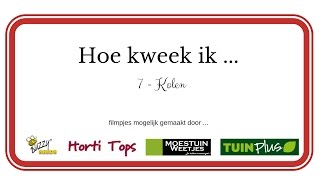 Hoe kweek ik Kolen DEEL1 [upl. by Beatrisa]