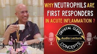 Neutrophils  Cells in Acute Inflammation  Audio Lecture [upl. by Namsaj]