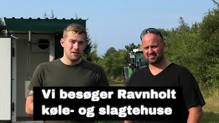 Vi besøger Ravnholt køle og slagtehuse [upl. by Thordis]