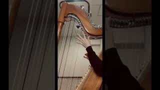 Great fairy’s fountain Koji Kondo  The legend of Zelda  zelda nintendo harp arpa paraguay [upl. by Lahcim979]