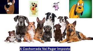 A Cachorrada Vai Pagar Imposto [upl. by Itoc787]