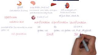 Fluoroquinolones  Antibiotics شرح [upl. by Inacana]